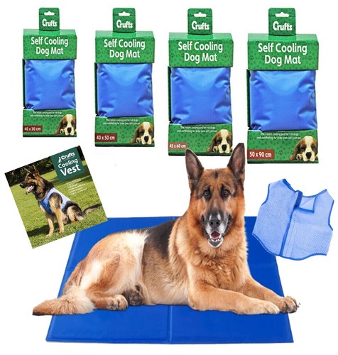 Crufts pets cooling - cooling, mat