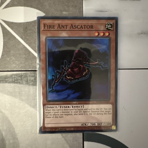 Fire ant ascator 1st - ant, edition