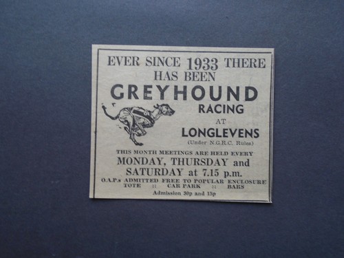 Gloucester greyhound racing - ,