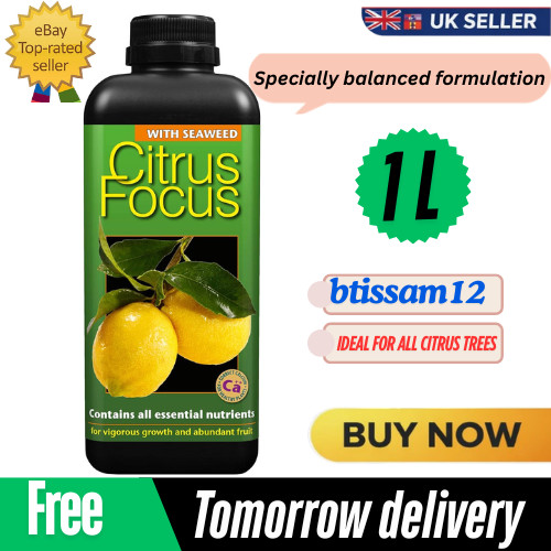 Citrus food plant tree - food,