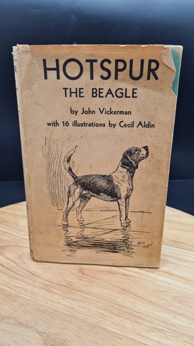 1932 hotspur the beagle john - the,