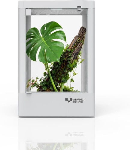 Reptile glass terrarium - reptile, 8"x