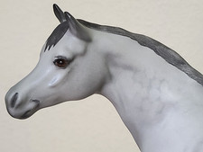 Beswick Rare Connoisseur Arab Bahram Stallion in Dapple Grey Matt No. 1771