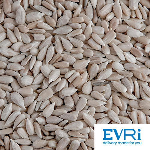 Sunflower hearts wild - sunflower,