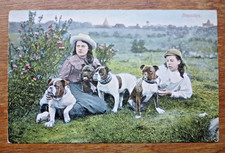 Vintage Bulldog Postcard