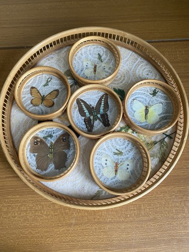 Vintage 70s butterfly bamboo - butterfly,