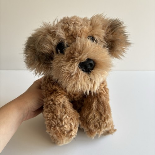 Keel cuddle puppies wheaten - puppies,