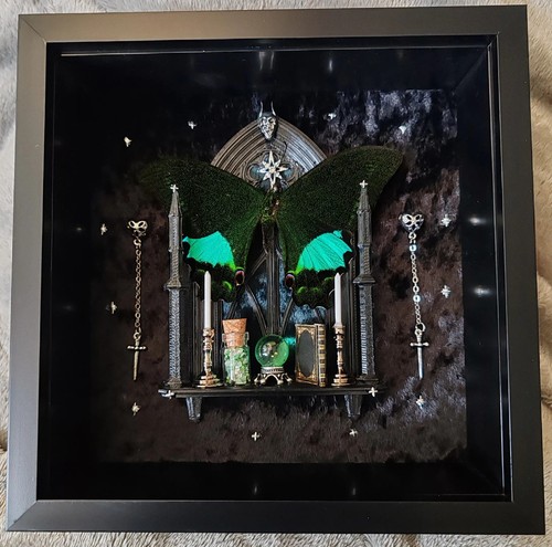 Gothic framed paris peacock - gothic,