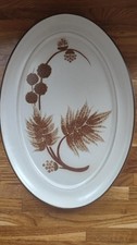 Denby Cotswold oval platter, plate. 32 x22. 12.5". Large.