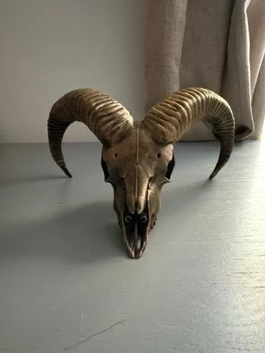 Sheep skull wall art 3d - skull,