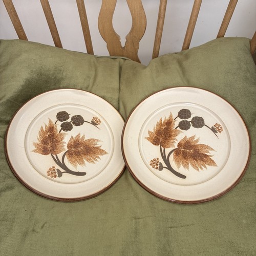 Denby cotswold 2 x side - 2,