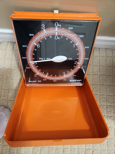 Retro salter model wall - model, 50