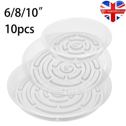 10pack 10 inch clear - of, 6/8/10