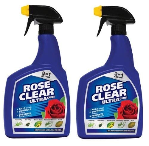 Rose clear ultra - 2,