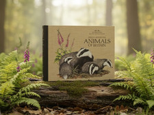 Readers Digest Field Guide