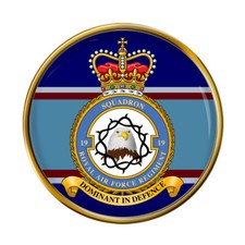 19 Squadron RAF Regiment Pin Badge
