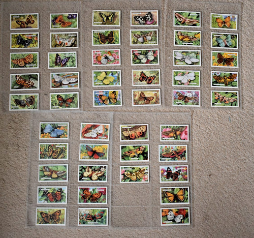 Gallaher cigarette cards - gallaher,