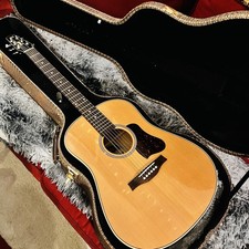 Seagull Coastline Momentum