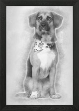 Dog cross breed with a bea