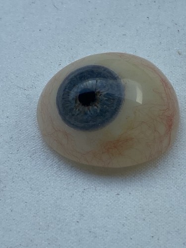 Vintage ocular prosthesis - prosthesis,