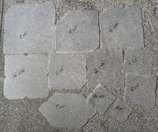 Job Lot of Reusable Plastic