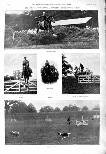Old 1901 tring show - old, horse