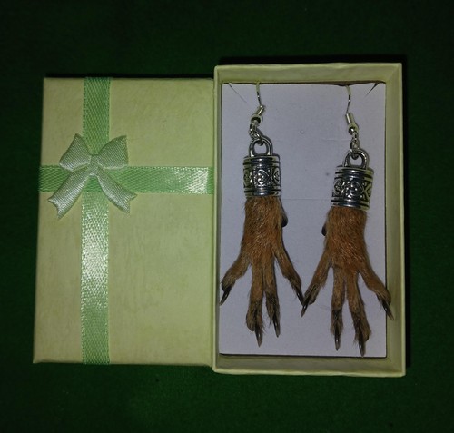 Squirrel paw feet - feet, hands