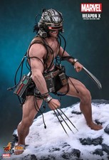 ⭐Pre order! Hot Toys CMS034