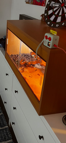 Vivarium and accessories - and,