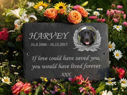 Memorial plaque for pets photo - for,