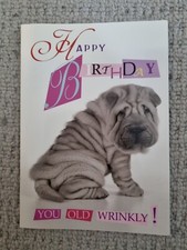 Cute Shar Pei Puppy Birthday