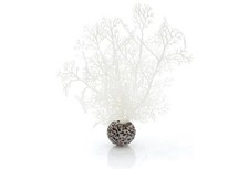 2 x BiOrb Sea Fans In White By