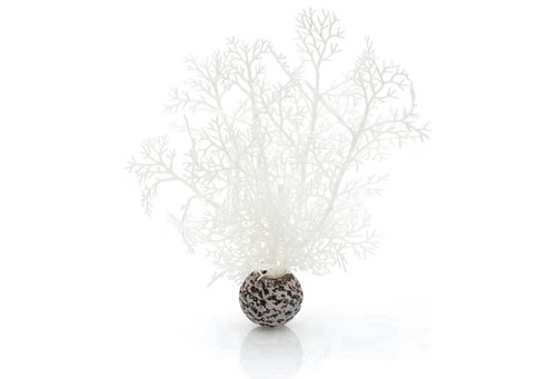Biorb sea fans - 2,