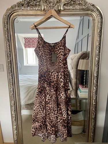 All saints leopard - saints,