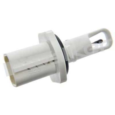 Walker intake air temperature - intake,