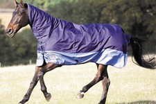 SHIRES TEMPEST LIGHT MEDIUM