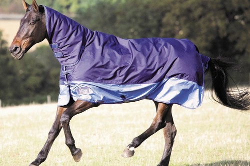 Shires tempest light medium - shires,