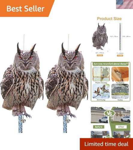 All season outdoor - outdoor, owl