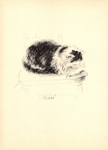 Lucy dawson pudgy cat print - dawson,