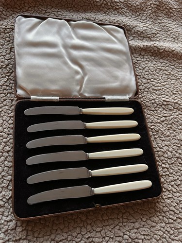 Quality boxed bone handled - x,