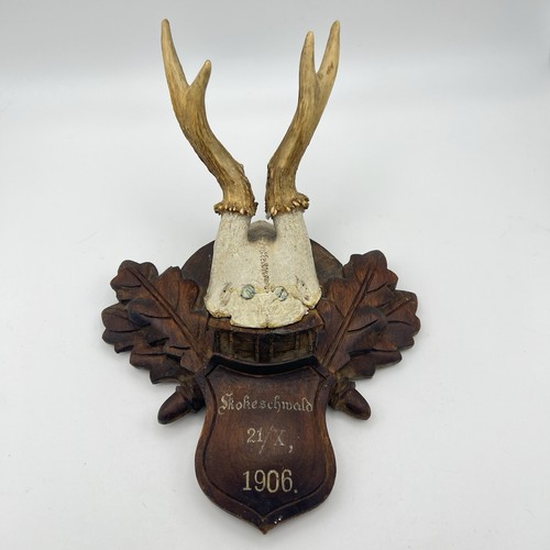 Antique 1906 black - black, forest