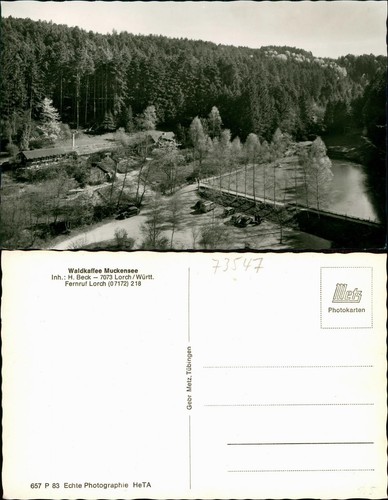Postcard lorch forest coffee - postcard,