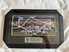 Ipswich Town 23/24 Promotion Goal Net Limited Edition framed