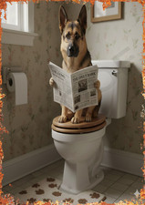 German Shepherd Dog on Toilet