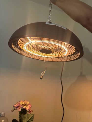 Ceiling mounted electric patio - electric,