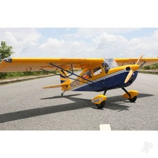 Champion Xtreme Decathlon