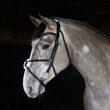 Cottage Craft Grackle Bridle