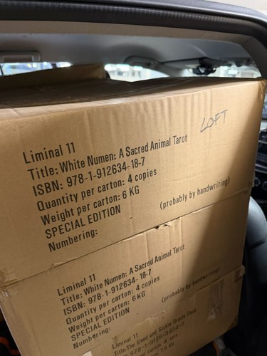 Pack liminal 11 white - 4,