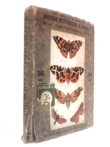 British butterflies and - butterflies,