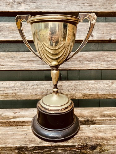 Big large silver trophy - 🏆,